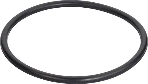 Schwarzer O-Ring, ringförmig, zentraler Ausschnitt, geeignet für Anschlüsse, möglicherweise zum Einsatz in Anwendungen von Grünbeck.